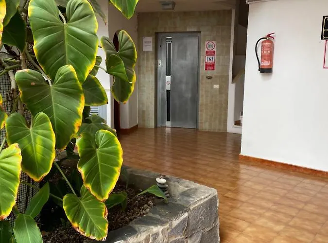Daire 1 Bedroom With Stunning Sea View Arona (Tenerife)